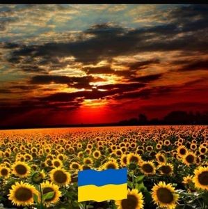 Meet your Posher, Joann